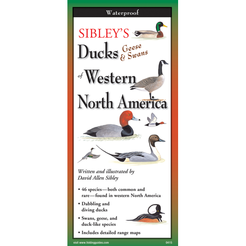 Sibley s Foldout Guide to Ducks, Geese & Swans of Western North America Sale