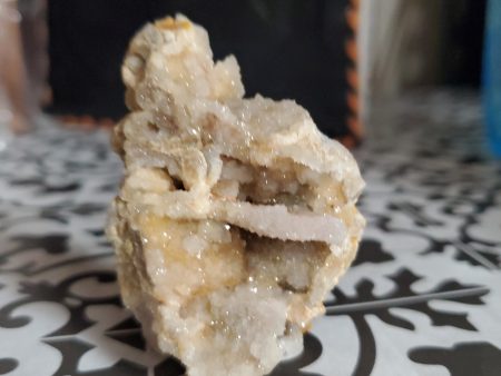 Spiralite Gemshell Specimen - Small For Sale