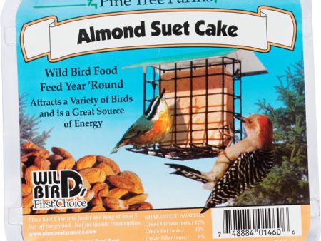 Suet Almond Online now