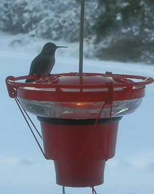 Heater for hummingbird feeders Fashion