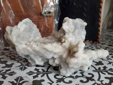 Spiralite Gemshell Specimen - Large on Sale