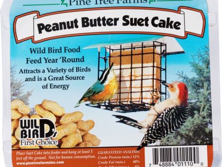 Suet Peanut Butter Cake Online now