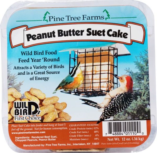 Suet Peanut Butter Cake Online now