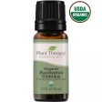 Eucalyptus Globulus 10 ml Essential Oil Organic Online Hot Sale