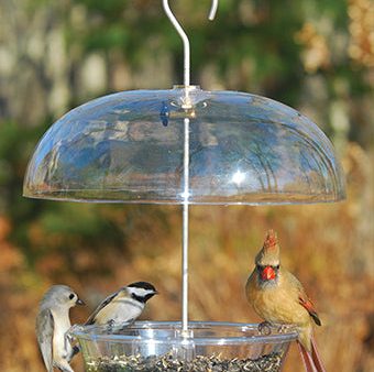 Vista Dome Feeder Online now