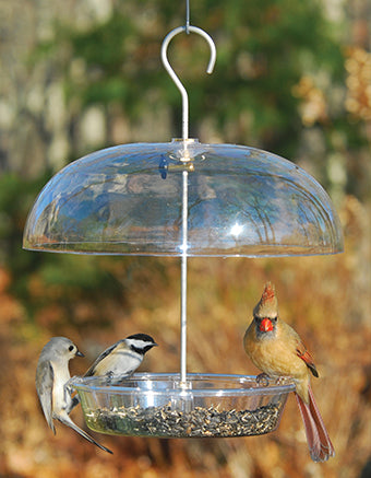 Vista Dome Feeder Online now