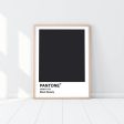 Pantone - Black Beauty For Sale