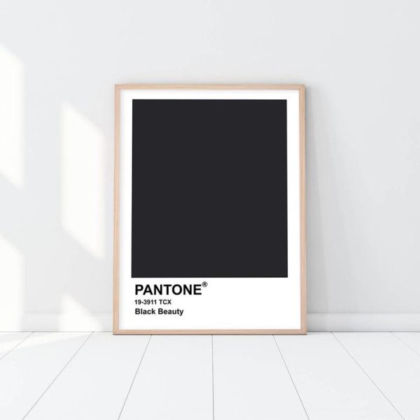 Pantone - Black Beauty For Sale