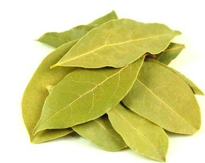 Bay Leaf .25 oz Fashion