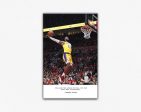 Lebron James Los Angeles Lakers Frame on Sale