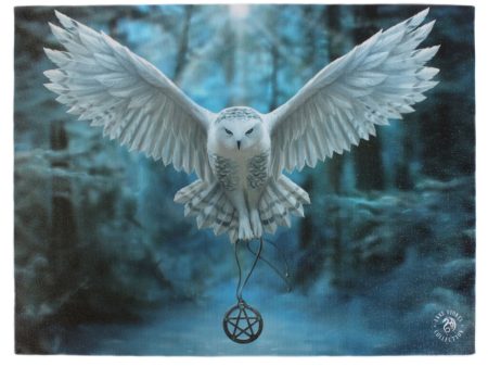 AWAKE YOUR MAGIC CANVAS ART PRINT BY ANNE STOKES on Sale