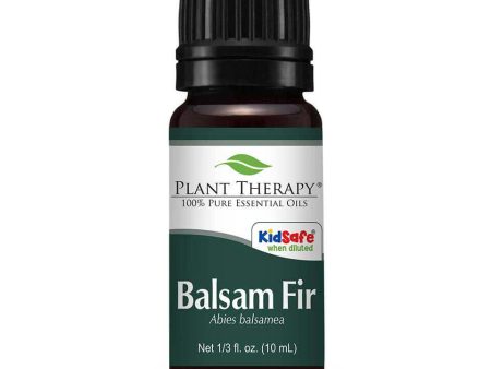 Balsam Fir Essential Oil 10 ml Hot on Sale