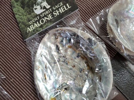 Abalone Shell 5  to 5 1 2  Hot on Sale