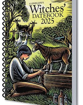 2025 Witches Datebook by Llewellyn Cheap