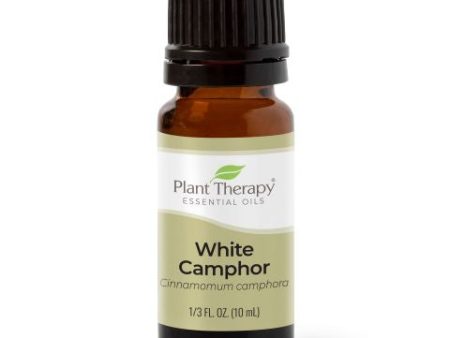 White Camphor Essential Oil 10 ml Discount