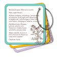 Apothecary Flashcards: A Pocket Reference For Herbs For Cheap