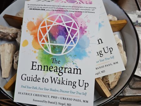 The Enneagram Guide To Waking Up Online