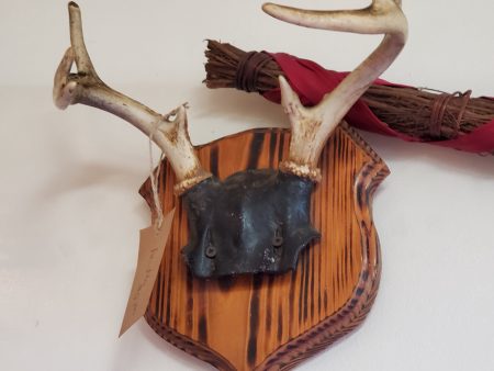 Boho Wall Art Antlers - Mounted Fashion