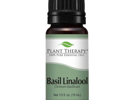 Basil Linalool Essential Oil 10ml Online Sale