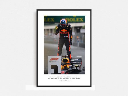 Daniel Ricciardo Frame Sale