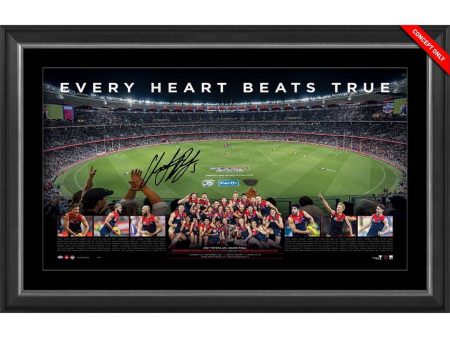 MELBOURNE DEMONS 2021 SIGNED PANORAMIC Online Hot Sale