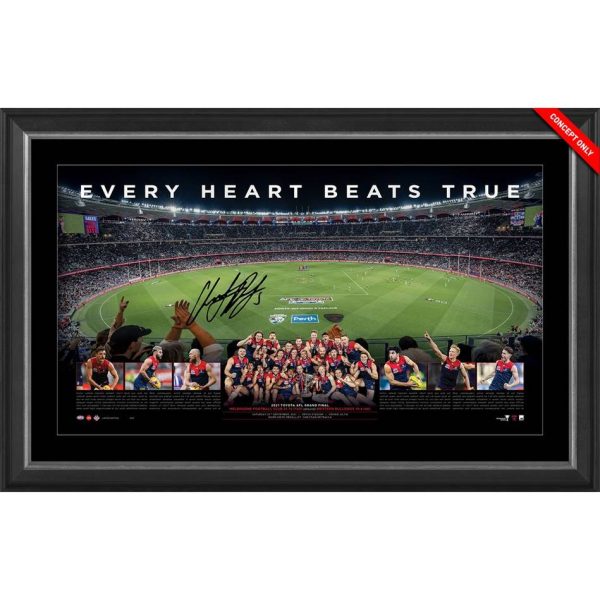 MELBOURNE DEMONS 2021 SIGNED PANORAMIC Online Hot Sale