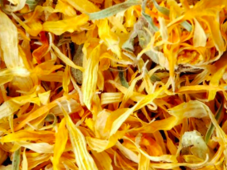 Calendula (Marigold) .25 oz Fashion