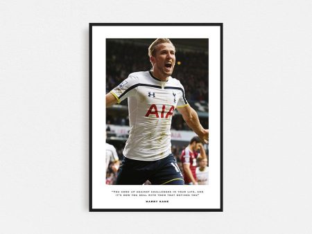 Harry Kane Frame Supply