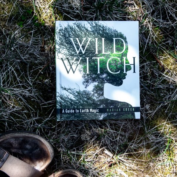 Wild Witch (Hard Cover) Online