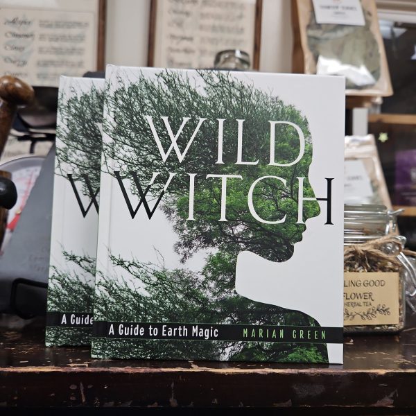 Wild Witch (Hard Cover) Online