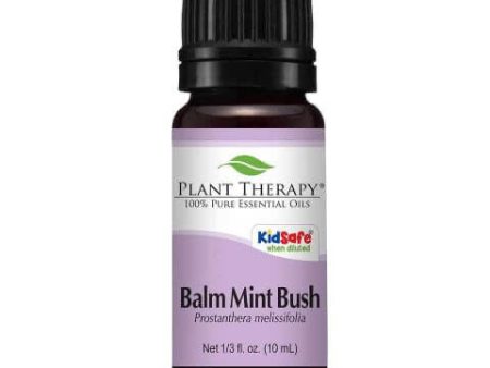 Balm Mint Bush Essential Oil 10ml For Cheap