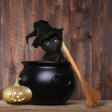 Put A Spell On You  Herbal Tea Online Hot Sale