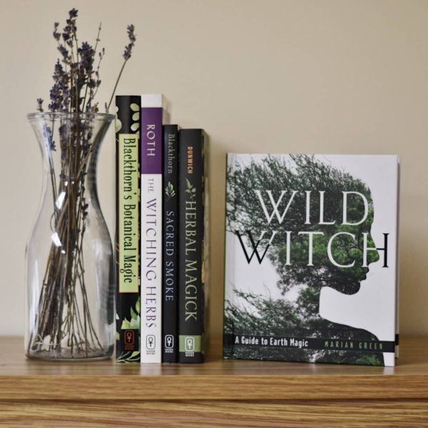 Wild Witch (Hard Cover) Online