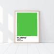 Pantone - Green Flash Online Hot Sale