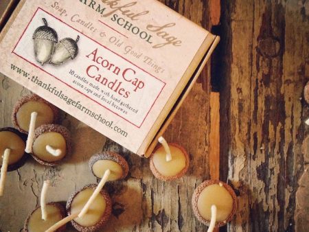 Bees Wax Acorn Cap Candles - 10 Pack Supply