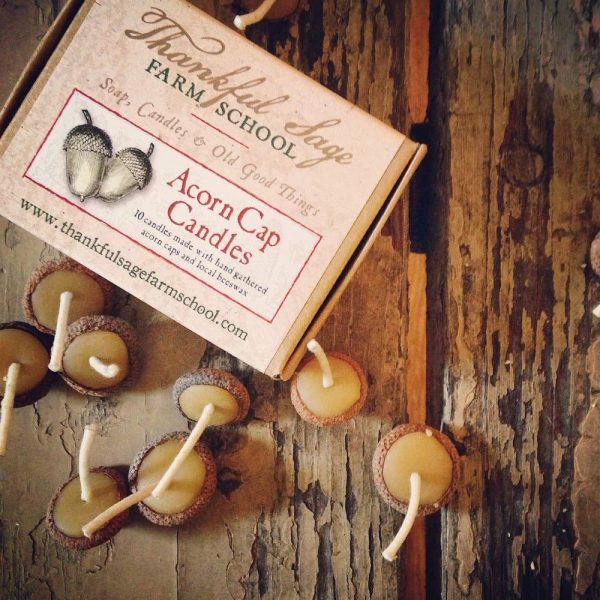 Bees Wax Acorn Cap Candles - 10 Pack Supply