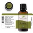 Oregano Essential Oil 30 ml Organic Cheap