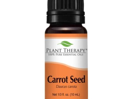 Carrot Seed Essential Oil For Cheap