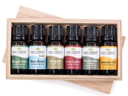 Wellness Essential Oil & Blends Set ( 6 Oils) For Sale